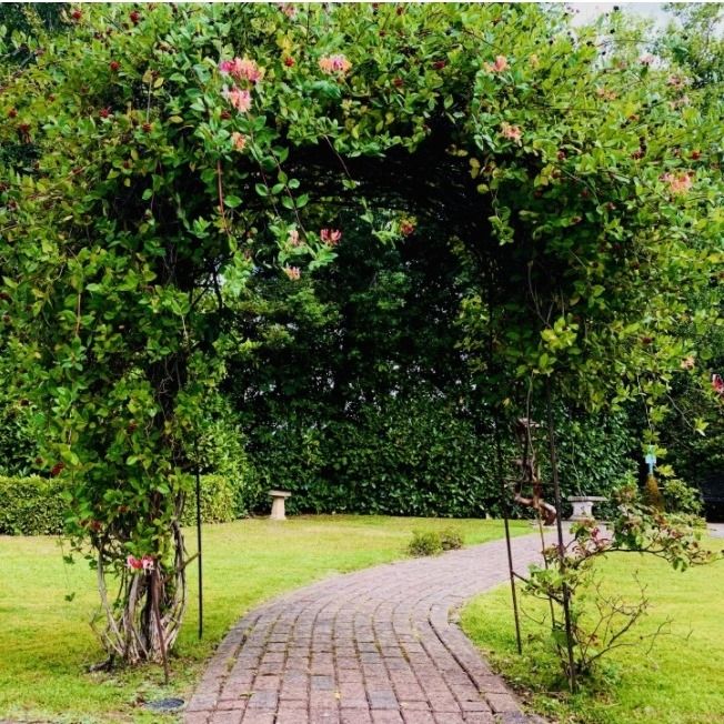 A rose-covered archway over a brick path in the garden.